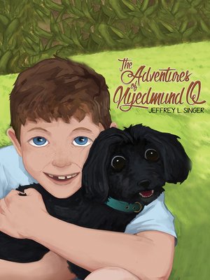 cover image of The Adventures of Nyedmund Q